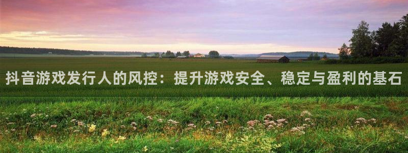 im电竞集团：抖音游戏发行人的风控：提升游戏安全、稳定与盈利的基石