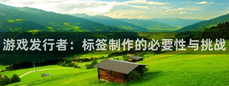 im电竞龙：游戏发行者：标签制作的必要性与挑战