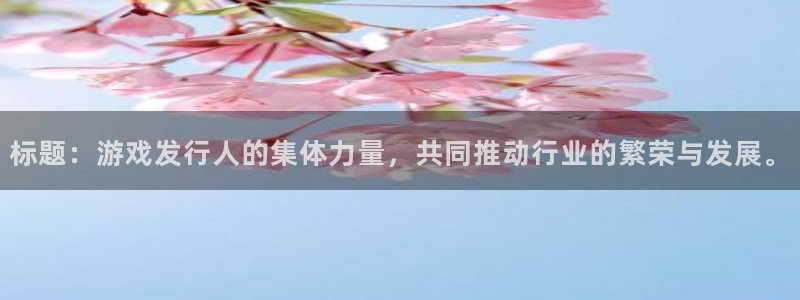 im电竞官网注册登录不了：标题：游戏发行人的集体力量，共同推动行业的繁荣与发展。