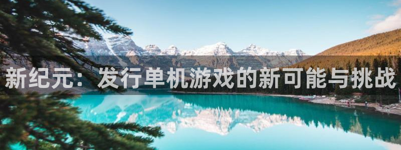 im电竞官网解绑银行卡怎么解绑：新纪元：发行单机游戏的新可能与挑战