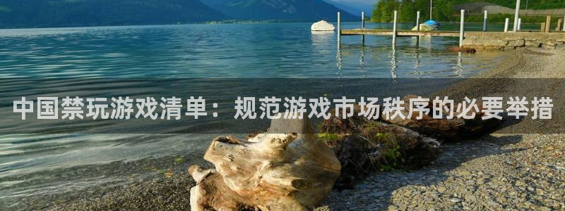 im电竞电子商务有限公司：中国禁玩游戏清单：规范游戏市场秩序的必要举措
