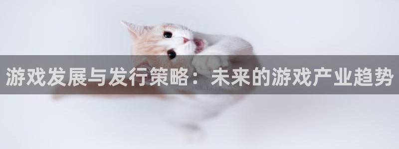 im电竞子文化创意有限公司：游戏发展与发行策略：未来的游戏产业趋势