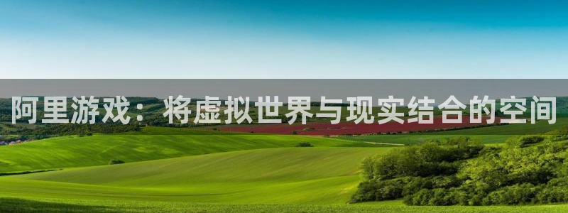 im电竞子财经丛书