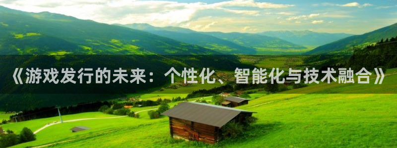 im电竞官网平台代理条件怎么样