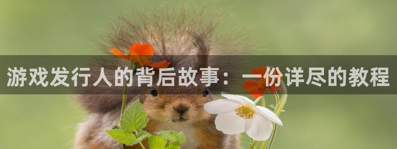 im电竞官网游戏平台介绍：游戏发行人的背后故事：一份详尽的教程