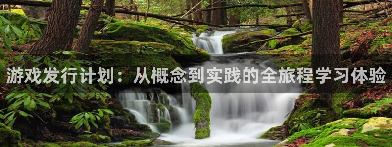 我想看im电竞：游戏发行计划：从概念到实践的全旅程学习体验