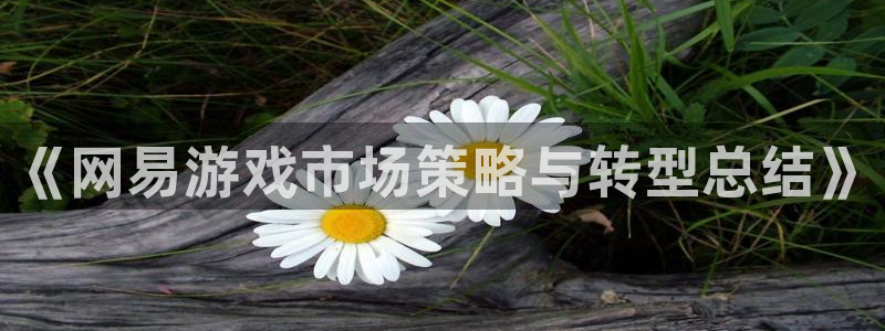 im电竞涂料(北京)有限公司：《网易游戏市场策略与转型总结》