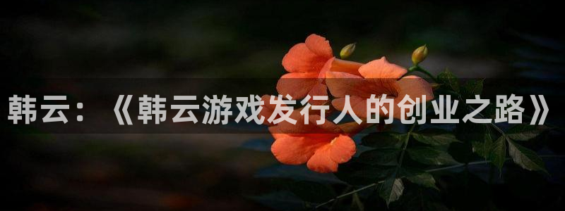 im电竞官网注册地址在哪里啊：韩云：《韩云游戏发行人的创业之路》
