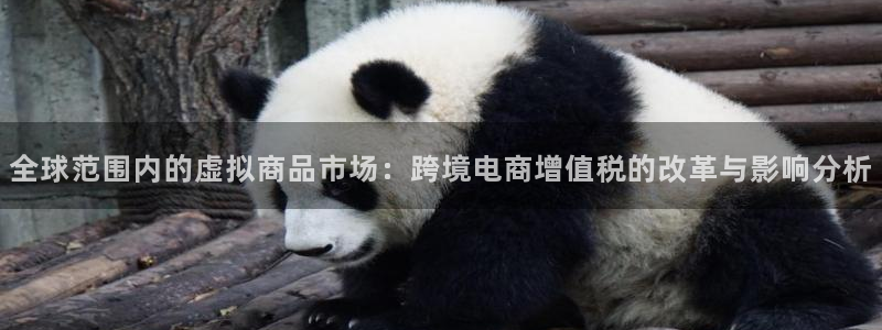 im电竞电子商务有限公司怎么样