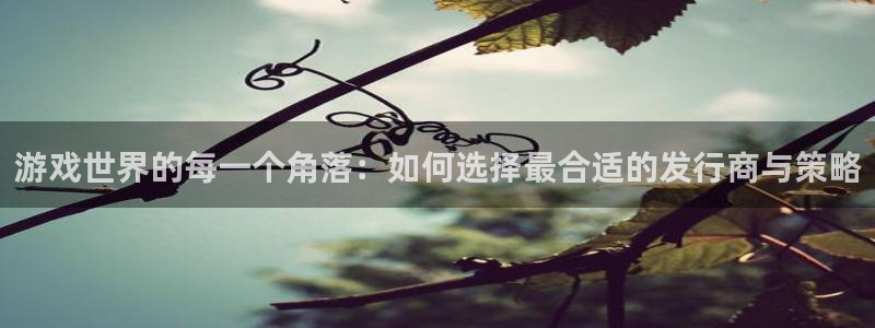 im电竞子赚话费：游戏世界的每一个角落：如何选择最合适的发行商与策略