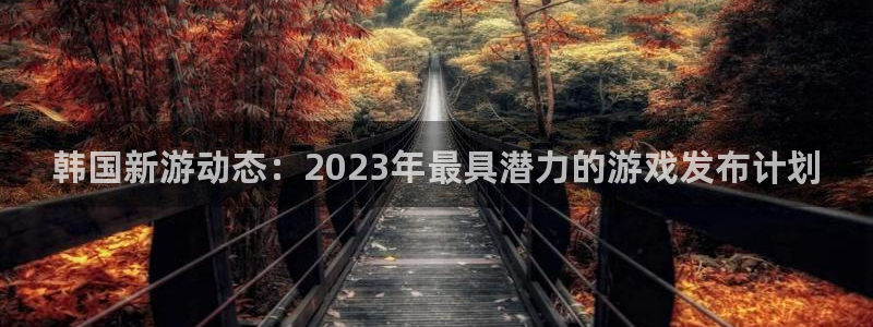 im电竞官网代理开号：韩国新游动态：2023年最具潜力的游戏发布计划