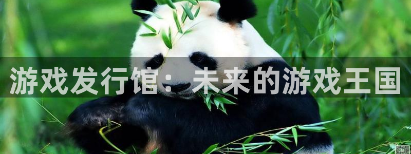 im电竞子市值：游戏发行馆：未来的游戏王国