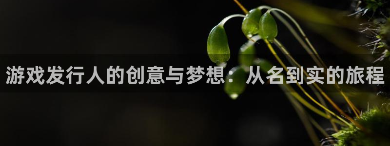 im电竞官网游戏平台介绍