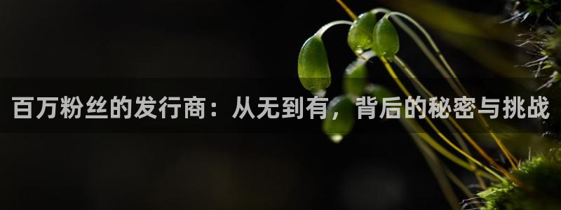 im电竞官网官网注册账号密码：百万粉丝的发行商：从无到有，背后的秘密与挑战