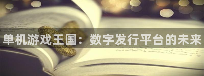 im电竞官网挂机项目怎么样啊：单机游戏王国：数字发行平台的未来