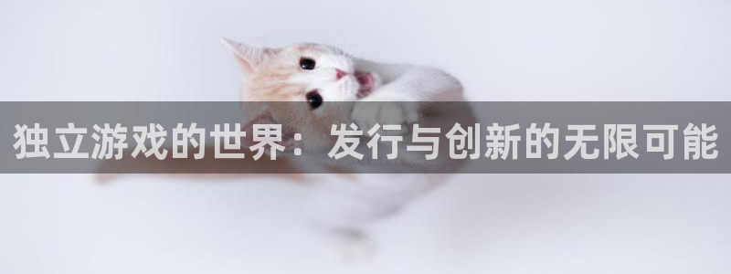 im电竞智得官网：独立游戏的世界：发行与创新的无限可能