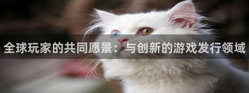 im电竞电子商务怎么样