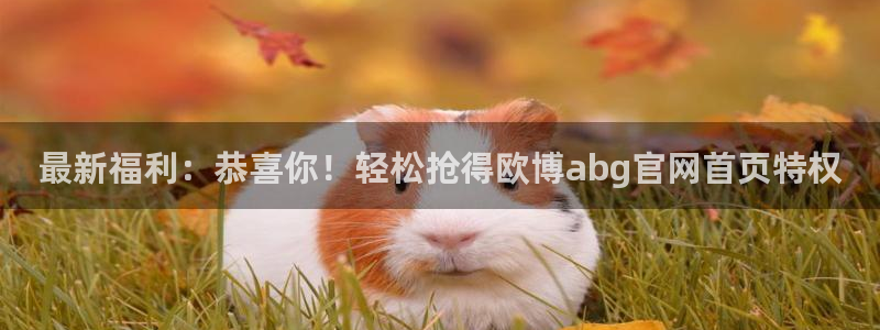 环球聚富