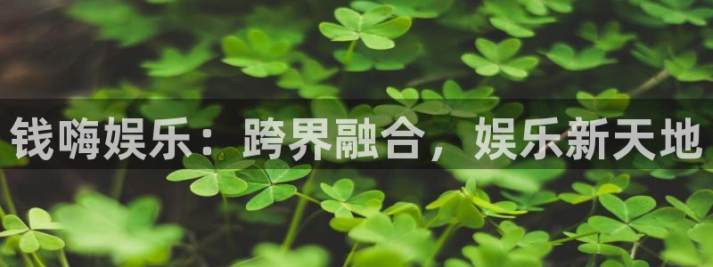 聚富投资