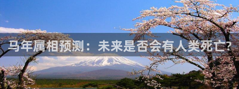 工银聚富收益怎么查看