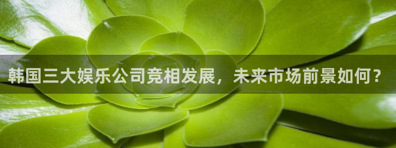 永春聚富果业有限公司