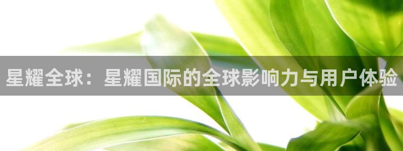 聚富团队