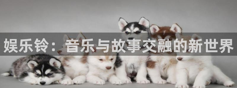 聚富鑫