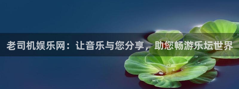 浙江聚富锡箔纸纸业有限公司