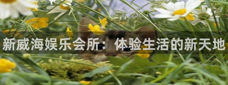 聚富财经炒股软件