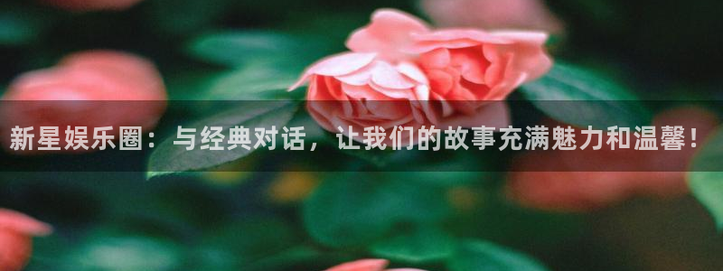浙江聚富锡箔纸生产厂家