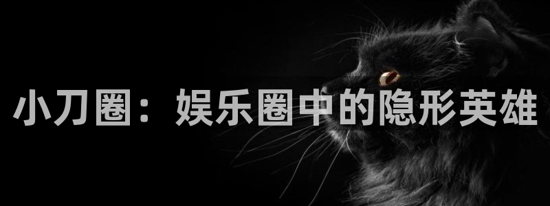 东莞聚富发泡胶