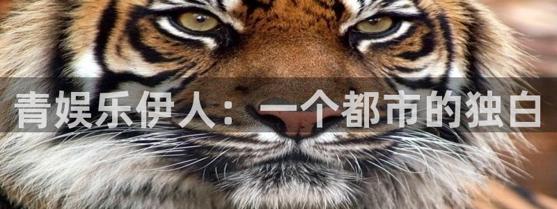 聚富五步：青娱乐伊人：一个都市的独白