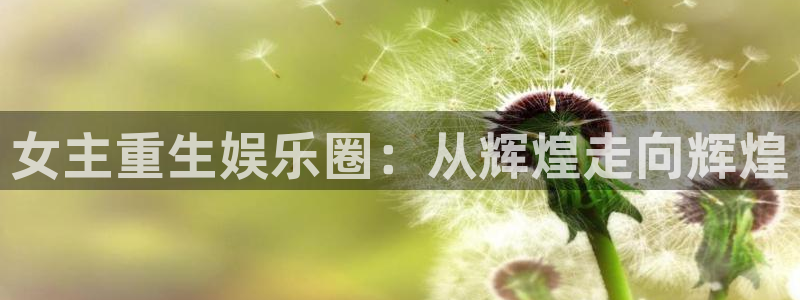 重庆聚富实业有限公司：女主重生娱乐圈：从辉煌走向辉煌