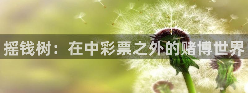 聚富宝：摇钱树：在中彩票之外的赌博世界