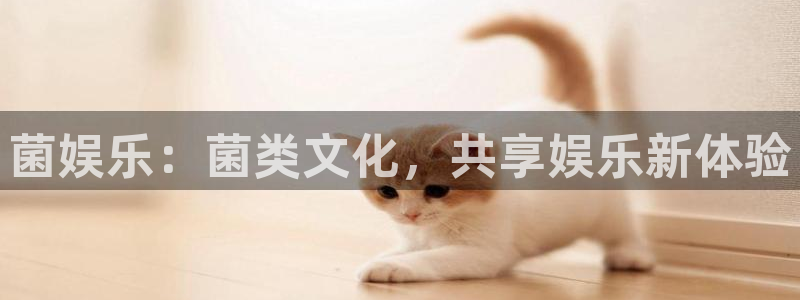 天津聚富圣会休闲浴场：菌娱乐：菌类文化，共享娱乐新体验