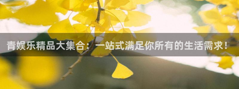 深圳聚富寓：青娱乐精品大集合：一站式满足你所有的生活需求！