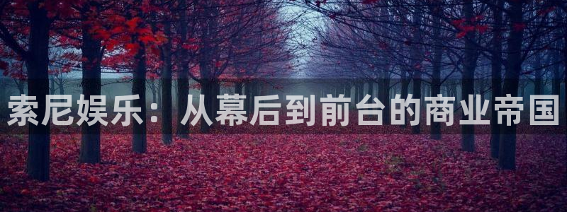 绥中聚富商城：索尼娱乐：从幕后到前台的商业帝国