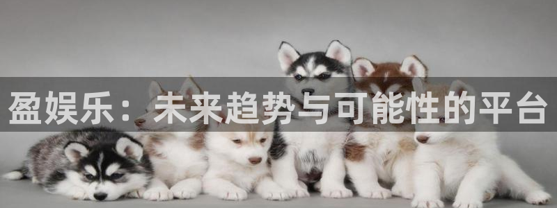 东莞常平镇聚富花园：盈娱乐：未来趋势与可能性的平台