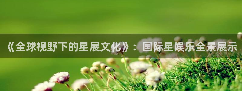 聚富小区：《全球视野下的星展文化》：国际星娱乐全景展示