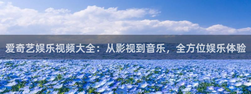 聚富网络科技有限公司：爱奇艺娱乐视频大全：从影视到音乐，全方位娱乐体验