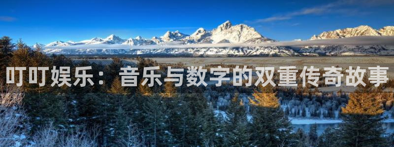 厦门聚富塑胶制品：叮叮娱乐：音乐与数字的双重传奇故事