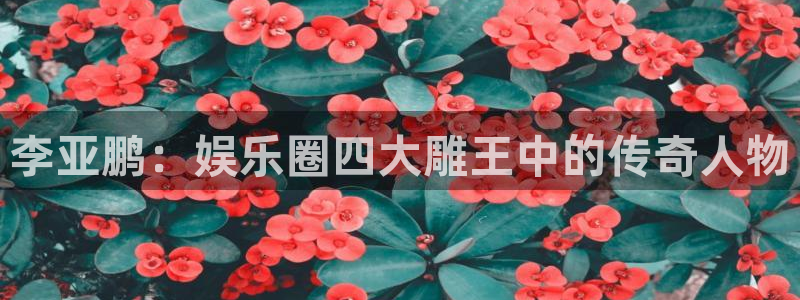 聚富网络：李亚鹏：娱乐圈四大雕王中的传奇人物