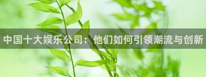 聚富蛙：中国十大娱乐公司：他们如何引领潮流与创新