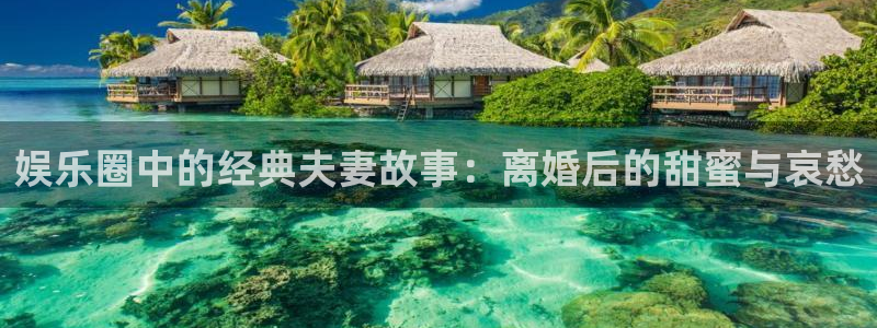 聚富盛会：娱乐圈中的经典夫妻故事：离婚后的甜蜜与哀愁