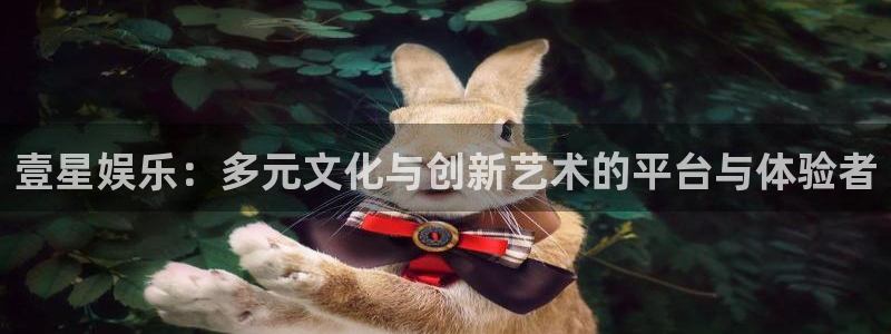 聚富年年：壹星娱乐：多元文化与创新艺术的平台与体验者