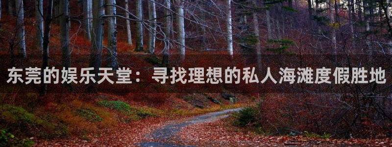 聚富圣会：东莞的娱乐天堂：寻找理想的私人海滩度假胜地